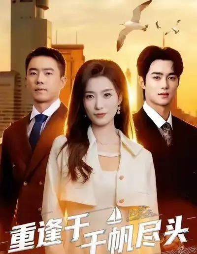 重逢于千帆尽头（60集全）张家铭＆虞彤彤-搜外项目网