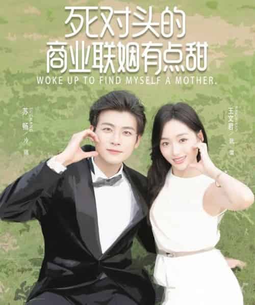 死对头的商业联姻有点甜(76集全)苏畅&王文君-搜外项目网