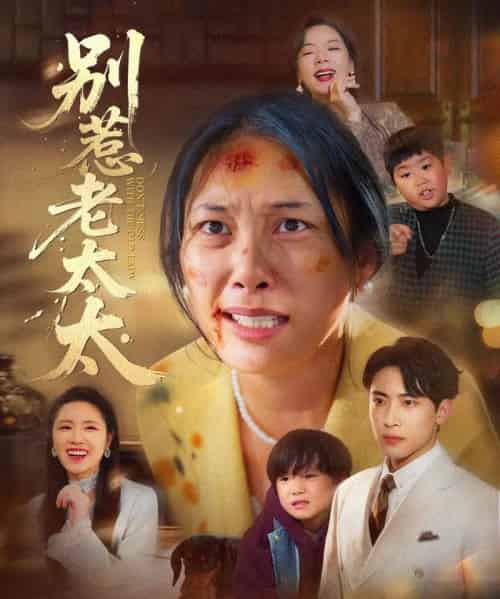 别惹老太太＆谁说她没人撑腰（68集全）陈柯宇＆赵丹-搜外项目网