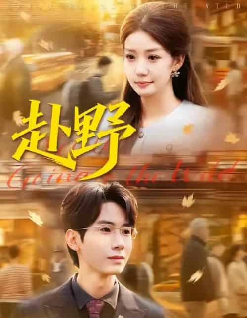 赴野（40集全）宜樊＆丁珂丹-搜外项目网