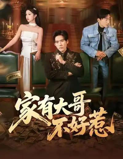 家有大哥不好惹（62集全）张佳樱子＆秦毅-搜外项目网