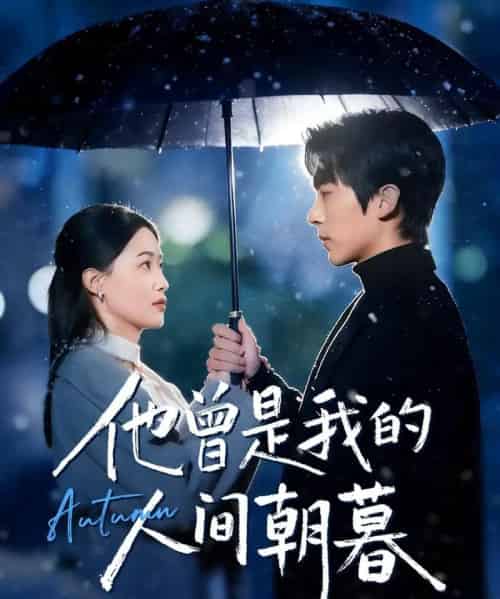 他曾是我的人间朝暮（51集全）冯思源＆王艺舒-搜外项目网