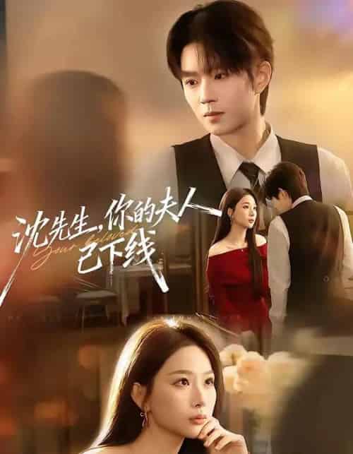 沈先生，你的夫人已下线（51集全）曹渊＆彭千玲-搜外项目网