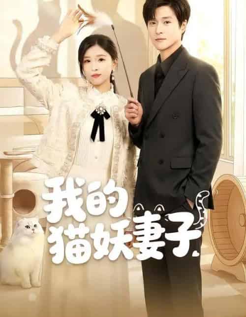 我的猫妖妻子（30集全）刘玉姣＆韩品杰-搜外项目网
