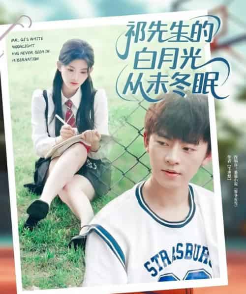 祁先生的白月光从未冬眠（80集）周体顺＆潘慧敏-搜外项目网