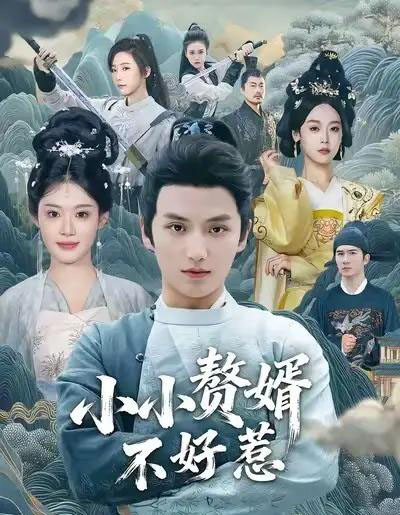 小小赘婿不好惹（64集全）徐凯鑫＆方梨-搜外项目网