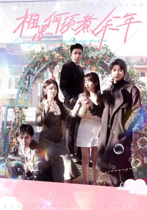 相思何须煮余年（33集全）顾辞澜＆宋时微-搜外项目网