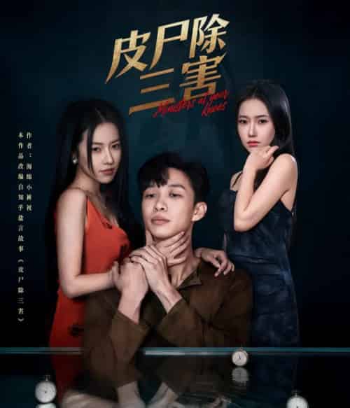 皮尸除三害（57集全）辛润茜＆刘翰承-搜外项目网