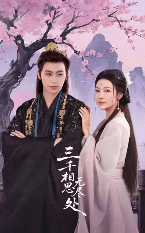 三千相思无尽处(80集全)康凌骁&潘悦-搜外项目网