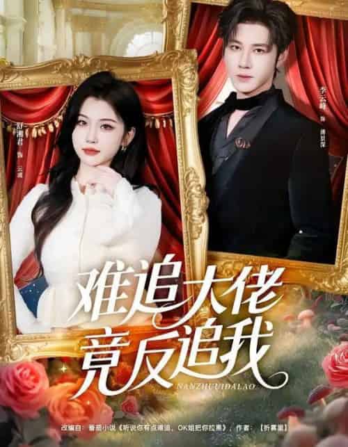 难追大佬竟反追我（80集全）李云峰＆舒湘君-搜外项目网