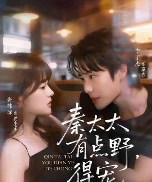 秦太太有点野，得宠（75集全）李子杰＆查祎琛-搜外项目网