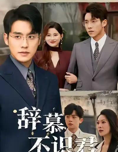 辞慕不识君＆七年情深终成侮（77集全）张宇翔＆宋雯娟-搜外项目网