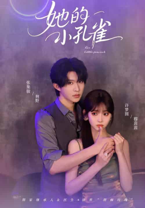 她的小孔雀(40集全)张集全骏&许梦圆-搜外项目网