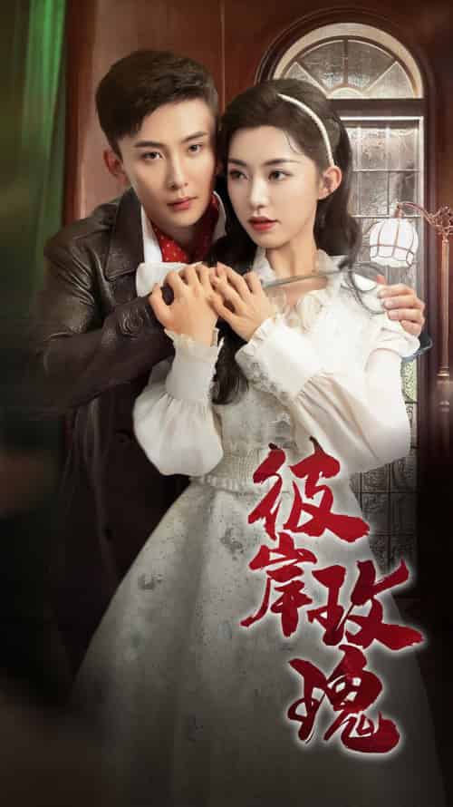 彼岸玫瑰（65集）孙樾＆赵佳-搜外项目网