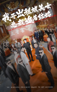 我开出租被美女总裁追着结婚（78集）浩子-搜外项目网