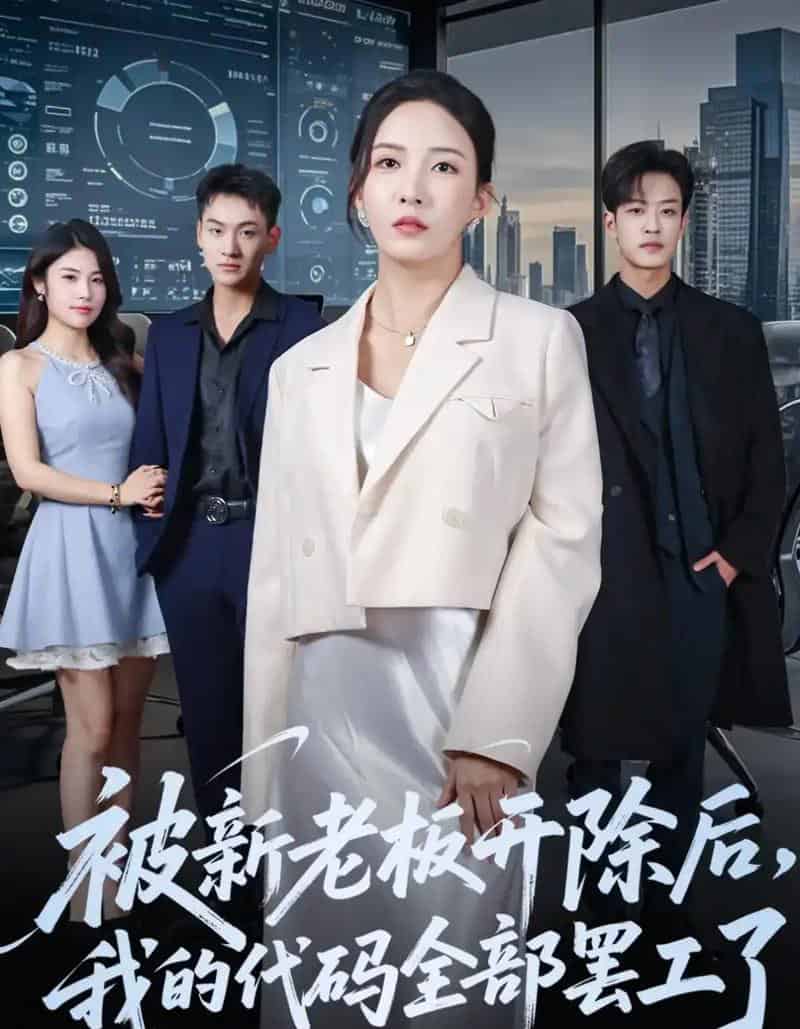 被新老板开除后我的代码全部罢工了（60集全）李若希＆孙梓铖-搜外项目网