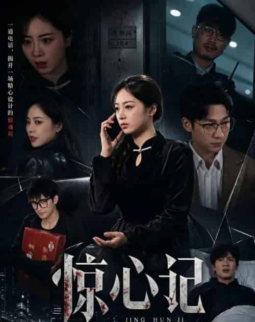 惊心记(40集全)陈家葆&邓婧萱-搜外项目网