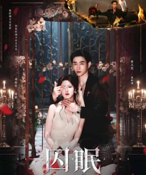 囚眠(80集)曹天恺&何怡婷-搜外项目网
