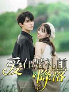爱在婚礼前降落（50集）白昕怡 朱一未-搜外项目网