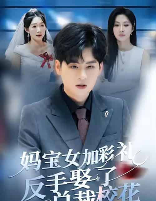 妈宝女加彩礼反手娶了总裁校花（81集全）韩非儿＆毛家和-搜外项目网