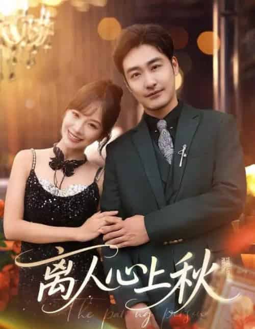离人心上秋(60集)李季&王琳惠-搜外项目网