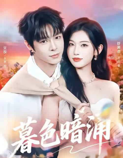 暮色暗涌（50集全）宣淏＆舒湘君-搜外项目网