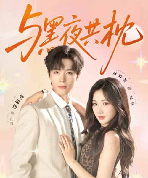 与黑夜共枕（79集）梁思伟＆张晋宜-搜外项目网