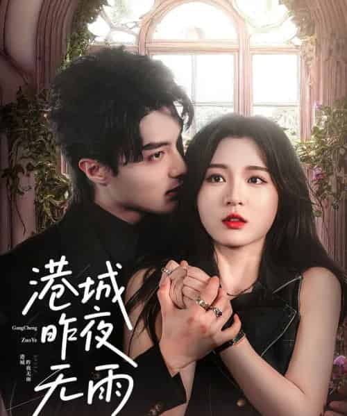 港城昨夜无雨（61集）刘兰博＆郑晨雨-搜外项目网