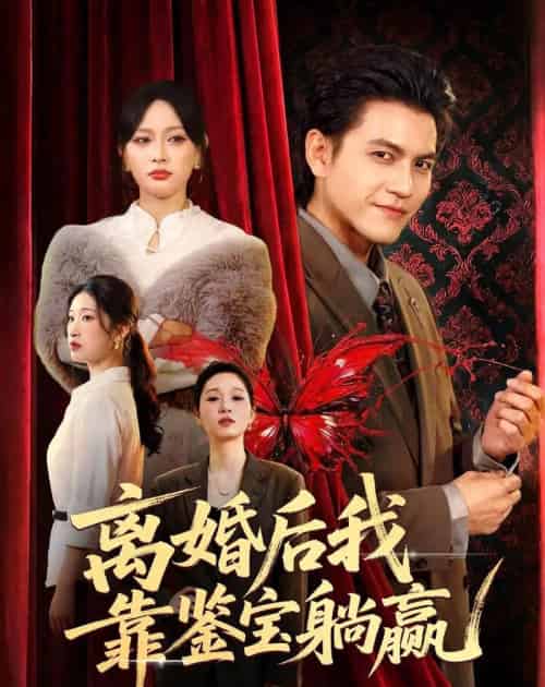 离婚后我靠鉴宝躺赢（57集全）李京熹＆吴轶斐-搜外项目网