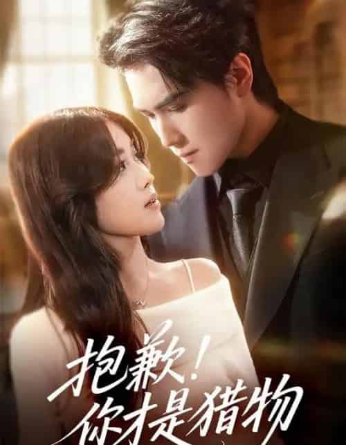 抱歉！你才是猎物（80集全）晓杨＆金汐-搜外项目网