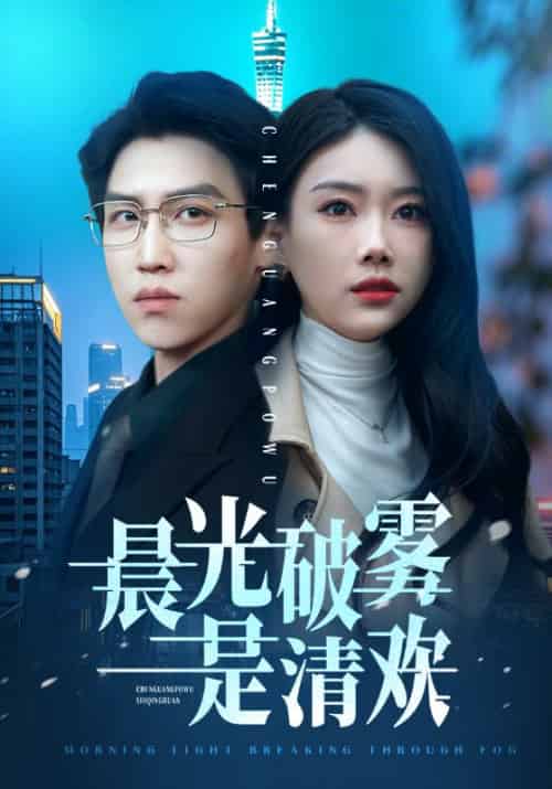 晨光破雾是清欢(91集全)赵佳欣-搜外项目网