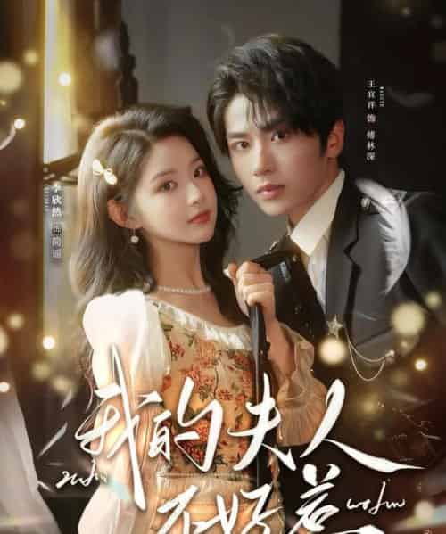 我的夫人不好惹＆你好，我的旅长夫人（60集全）王宜洋＆李欣然-搜外项目网