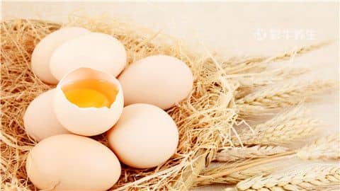 痛风能吃鸡蛋吗