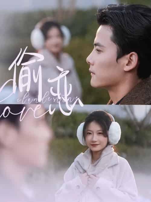 偷恋（73集全）陈刚＆兰岚-搜外项目网