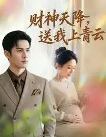 财神天降，送我上青云（100集全）AI-搜外项目网