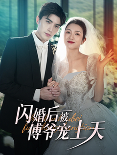 闪婚后被傅爷宠上天（87集全）卢c鹿鹿＆李柏言-搜外项目网