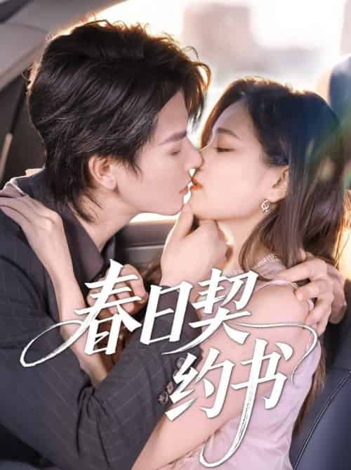 春日契约书（71集全）孔令宏＆李彬航-搜外项目网