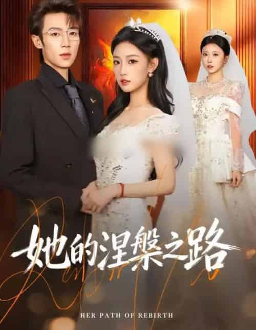 她的涅槃之路（74集全）曹璐＆郑博-搜外项目网
