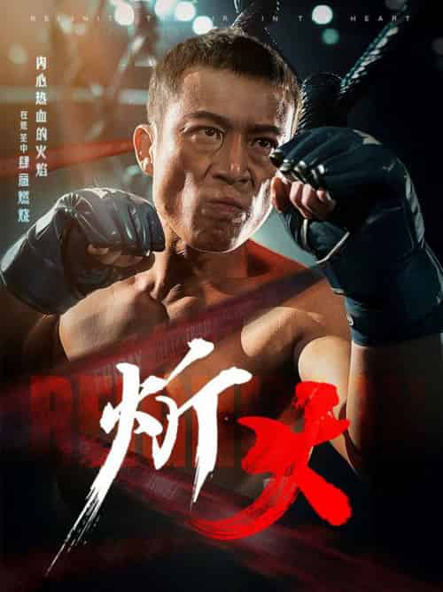 炘火（62集全）涂蕊-搜外项目网