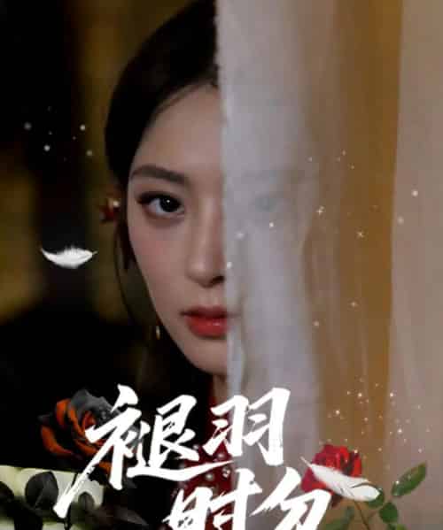 褪羽时分(61集)王美淇&关潇-搜外项目网