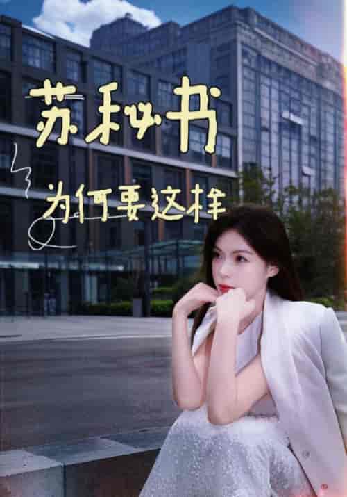 苏秘书为何要这样（99集全）凌云＆苏宛箬-搜外项目网