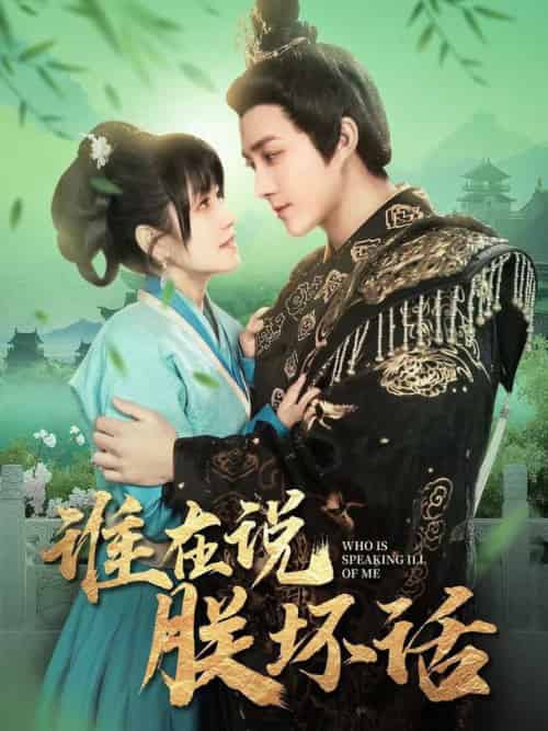 谁在说朕坏话(119集全)陈楚洹&曲笑孝-搜外项目网