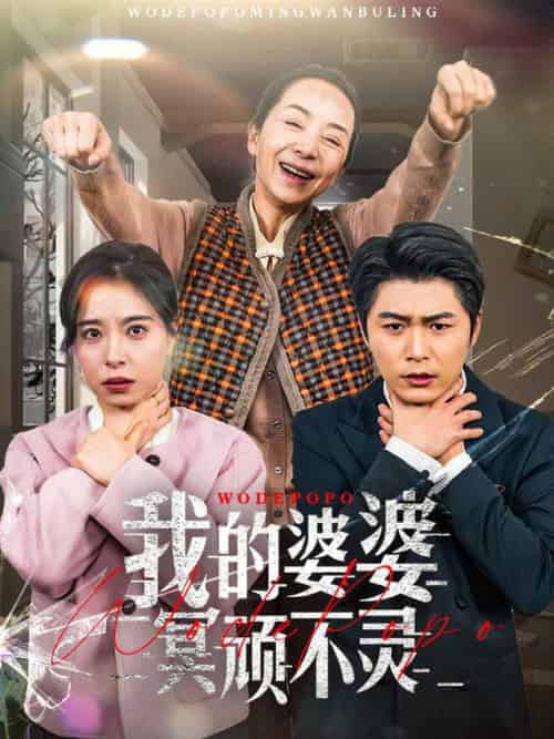 我的婆婆冥顽不灵＆好心婆婆之事与愿违（60集全）韩琪-搜外项目网