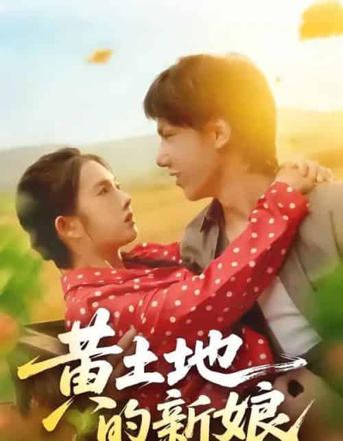 黄土地的新娘（40集全）郑思佳＆郑湘浩-搜外项目网