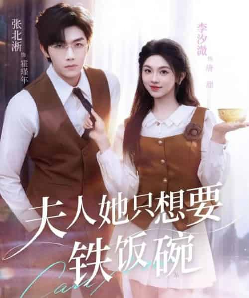 夫人她只想要铁饭碗（60集全）李汐溦＆张北淅-搜外项目网