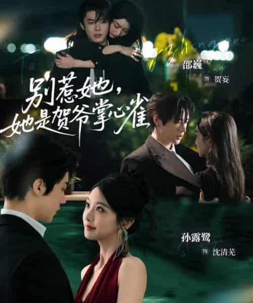 别惹她，她是贺爷掌心雀（69集全）邵巍＆孙露鹭-搜外项目网