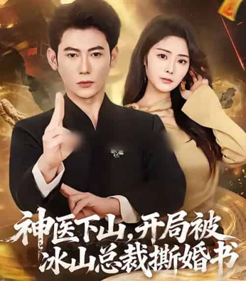 神医下山，开局被冰山总裁撕婚书（82集全）李乾锋＆浅柔-搜外项目网