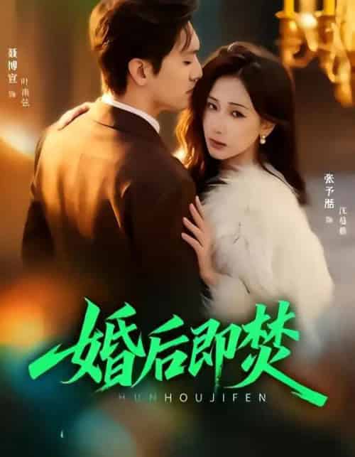 婚后即焚（77集全）聂博宣＆张予湉-搜外项目网