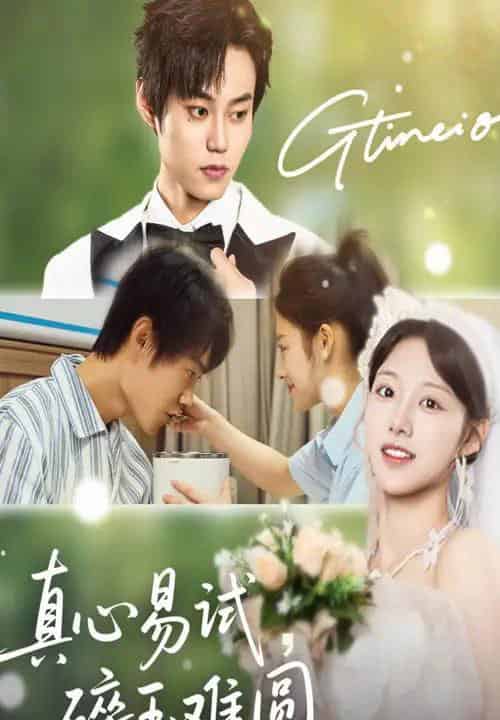 真心易试碎玉难圆（51集）张凌尘＆邱月-搜外项目网
