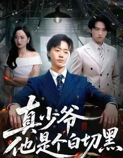 真少爷他是个白切黑（75集全）周翔＆何嘉仪-搜外项目网